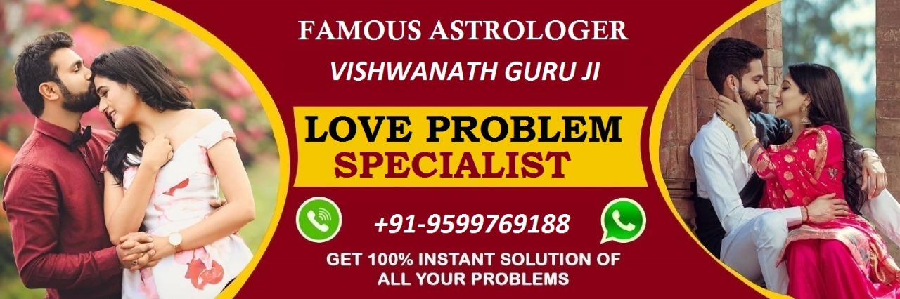 astrologer kundali viseshagye