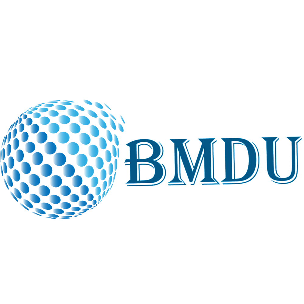 BM Digital Utilization LLP