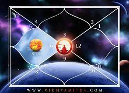 Vedic Mitra Trust (Astrologer Lucknow)