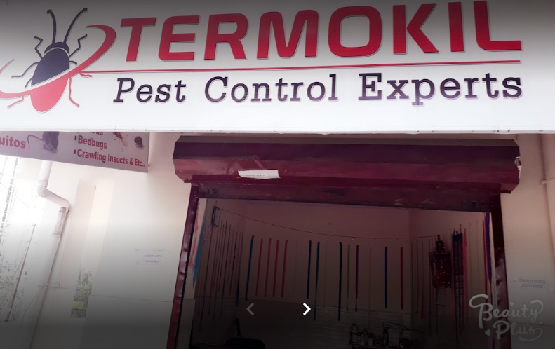 Termokil Pest Control & Termite Treatment Expert