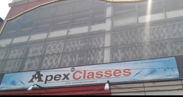 Apex Classes