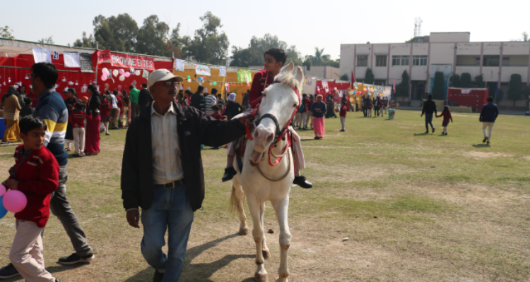 ssDAV PUBLIC SCHOOL, KOTA, RAJASTHAN