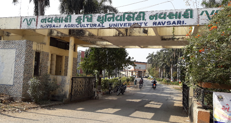 ssNavsari Agriculture University