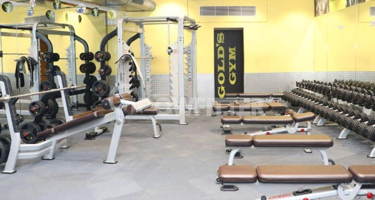 ssGold's Gym