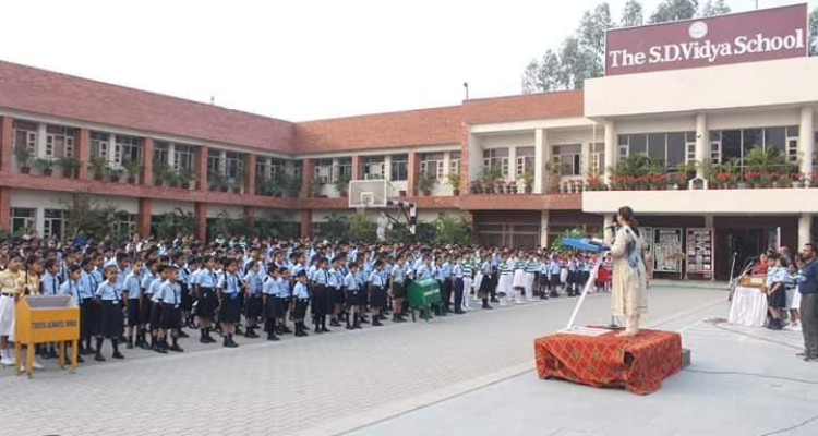 The SD Vidya School