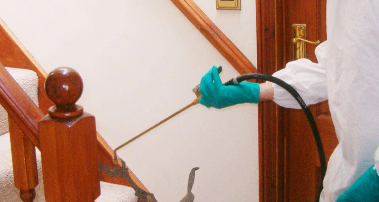 ssAavinash Pest Control Service in Chennai