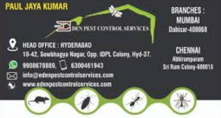 Eden Pest Control Services Chennai Address Guru