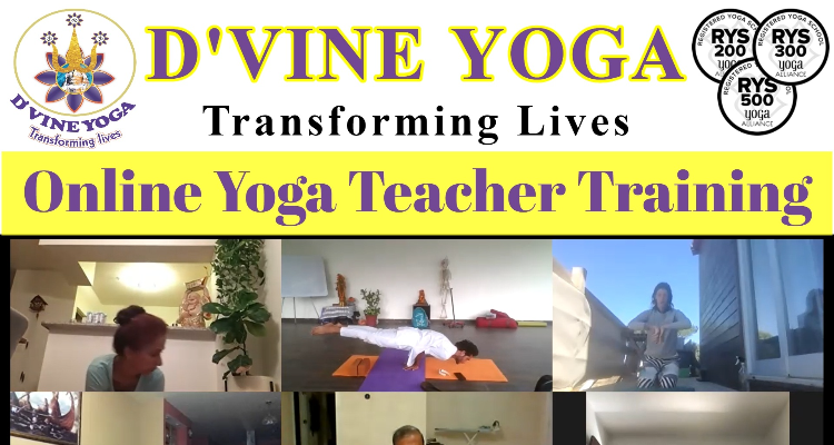 ssD'vine Yoga School