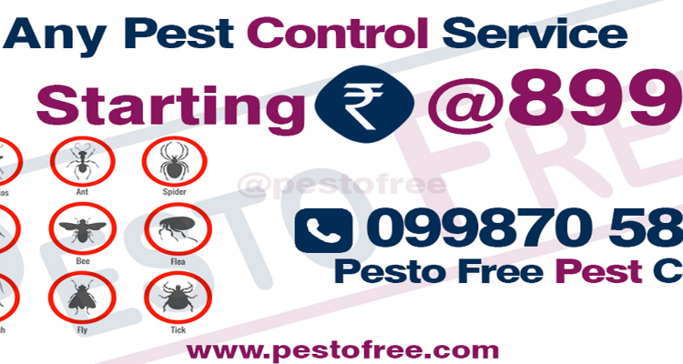 Pest Control Service, Pest Control Mumbai