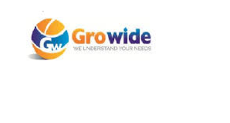 ssGrowide Portfolio Management Limited - Indore