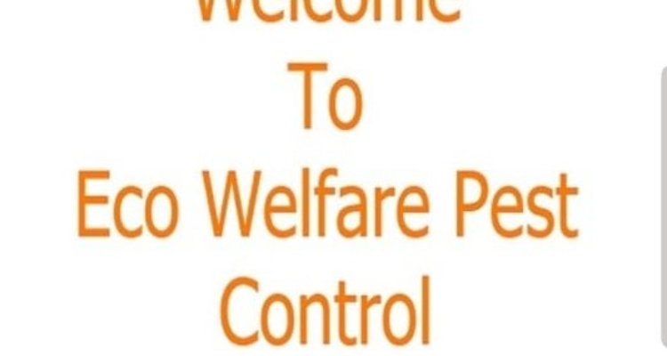 sseco welfare pest control services