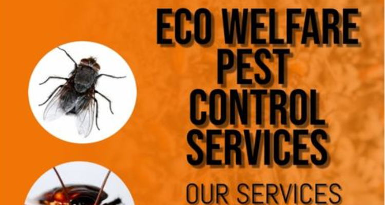 sseco welfare pest control services