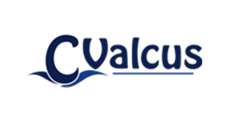 ssValcus Pvt Ltd