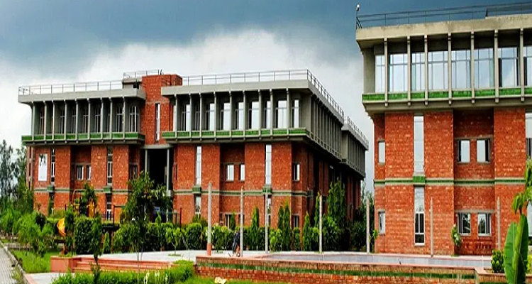 ssVidya Institute of Fashion Technology, Meerut