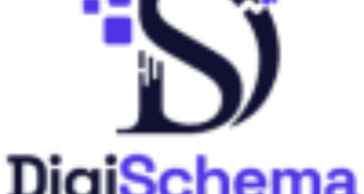 ssDigi Schema  Digital Marketing course Institution