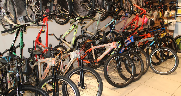 ssBike Studio Karnal - Best Cycle Shop  Bicycle Dealers and Store