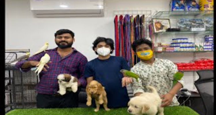 ssbest pet shop ion assam