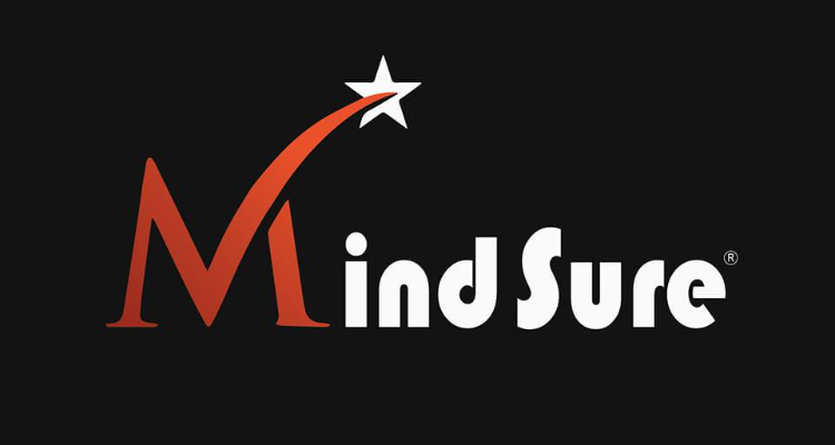 ssMindSure - Tax Consultancy