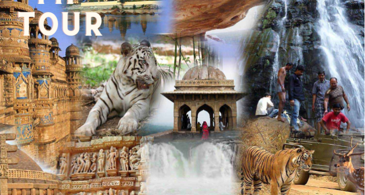 ssRoyal Car Rental Tour And Travels Indore