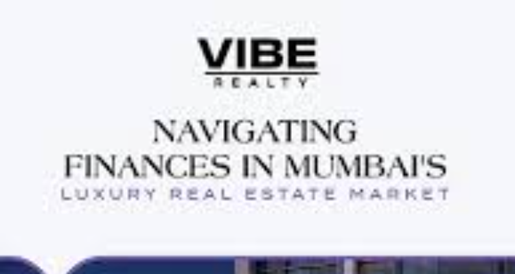 ssVIBE REALTY PRIVATE LIMITED