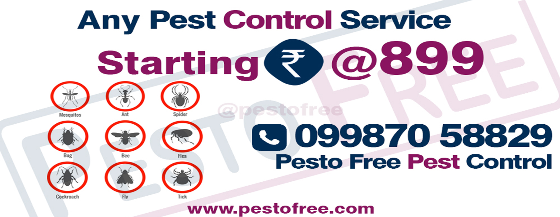 Pest Control Service, Pest Control Mumbai