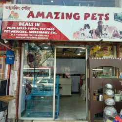 best pet shop in assam