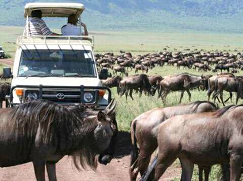 East Africa Group Safari Tour