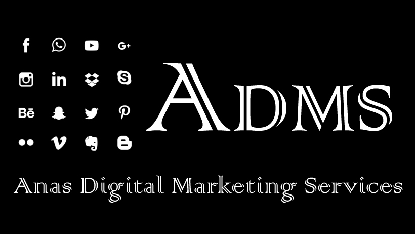 ssAnas Digital Marketing Service bijnor