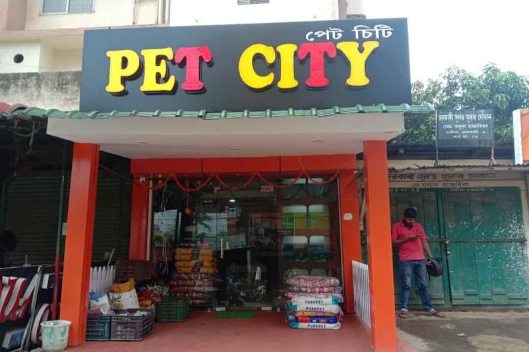 PET CITY