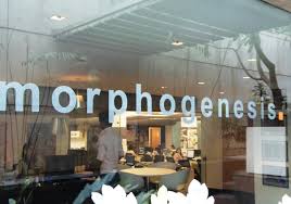 Morphogenesis Architects - Delhi