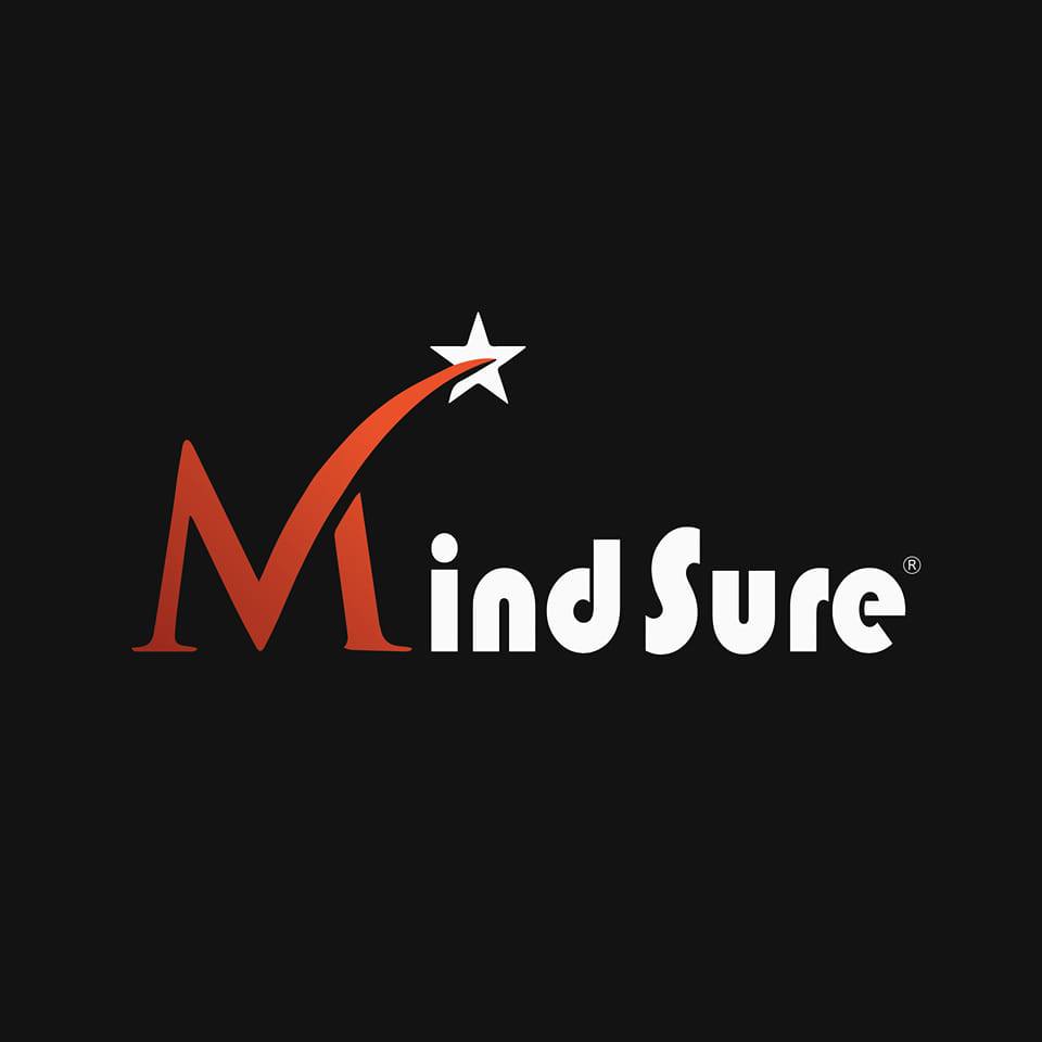 MindSure - Tax Consultancy