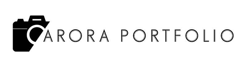 Arora Portfolio - Punjab