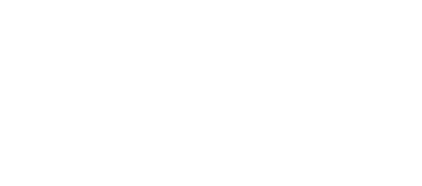 Shreevidya Infotechnologies