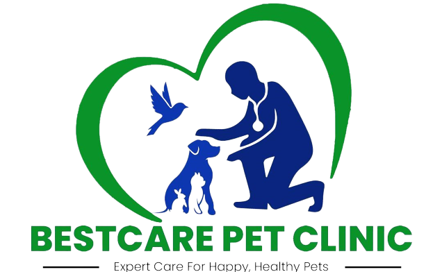 Best Pet Clinic in lucknow