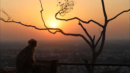 Jai Hanuman Photo Studio - SIkar