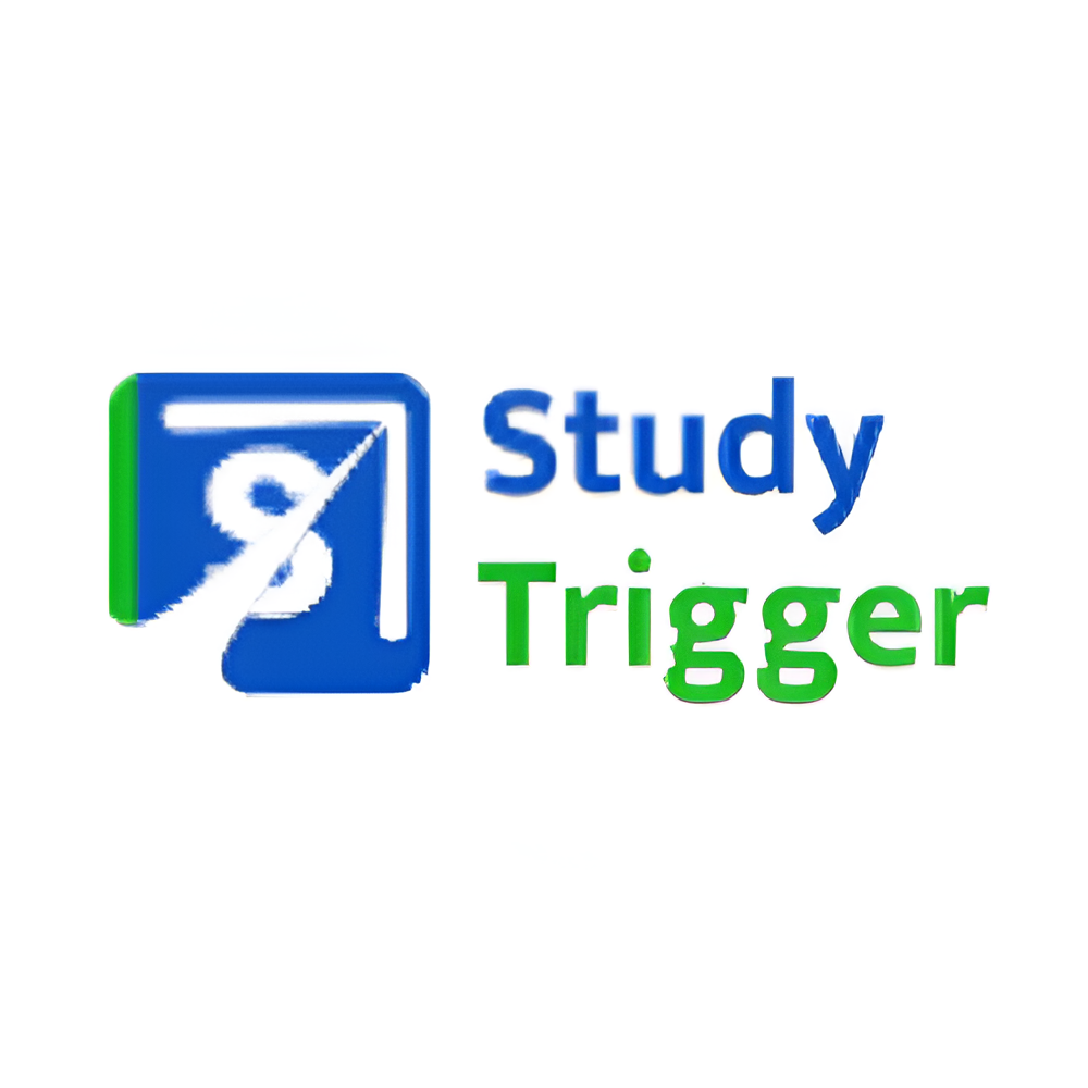 STUDY TRIGGER BEST CODING INSTITUTE IN JANAKPURI, DELHI