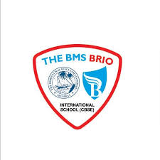 The BMS BRIO