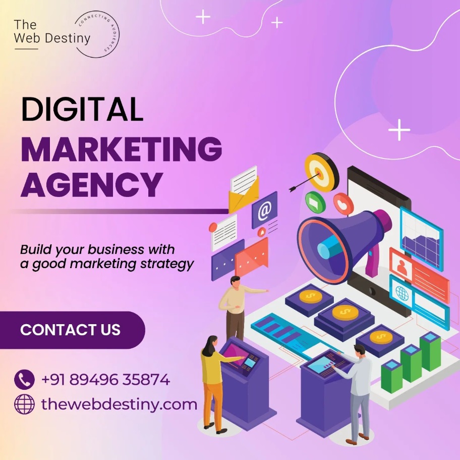 The Web Destiny - Best Digital Marketing Institute in Sri Ganganagar